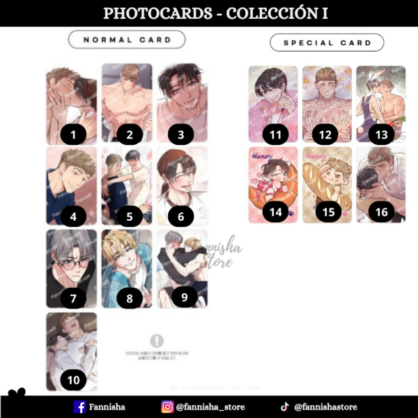 Honey Bear - Disponible