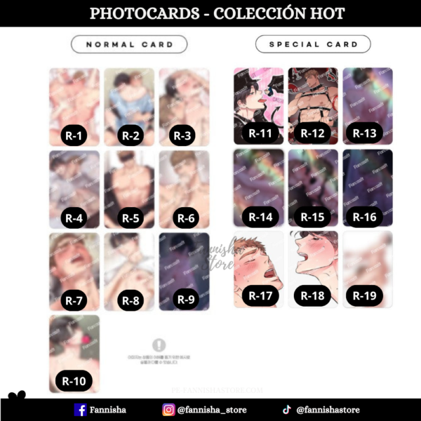 Honey Bear - Disponible