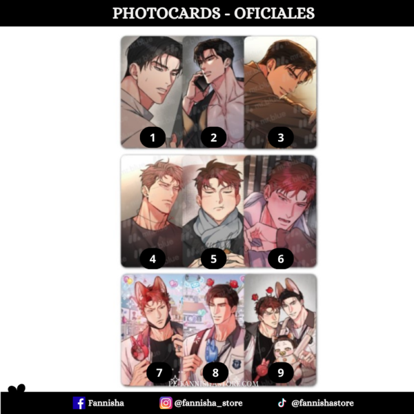 Perros y Pájaros - Disponible