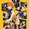 Haikyuu - Disponible